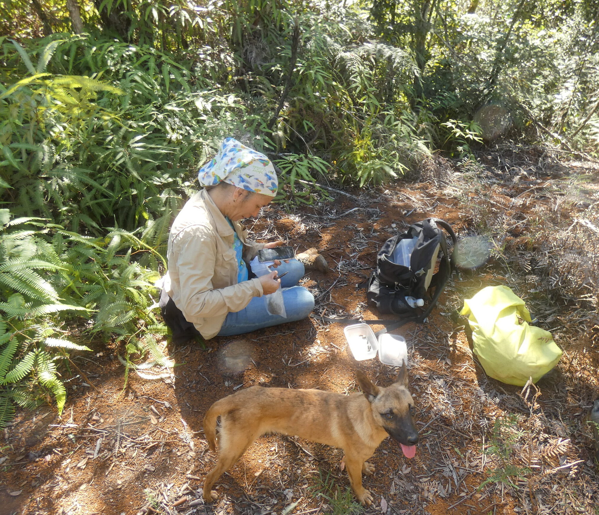 Norvis collecting samples in the field